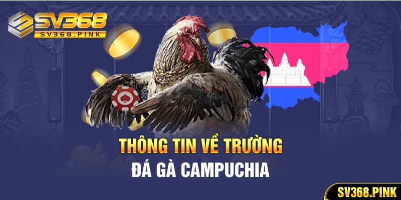 Thông tin về trường đá gà Campuchia