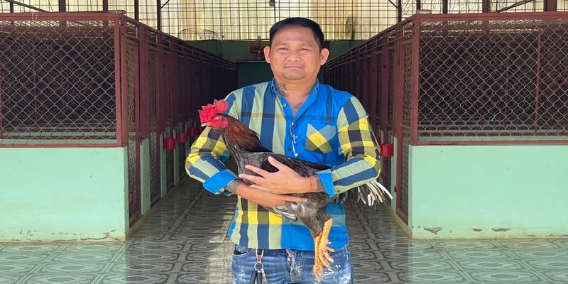 Trại gà Mít Trà Cú - Trang trại nuôi lớn nhất tại miền Tây